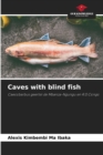 Image for Caves with blind fish