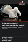 Image for Una panoramica sull&#39;anatomia dei denti