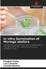 Image for In vitro Germination of Moringa oleifera