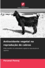 Image for Antioxidante vegetal na reproducao de cabras