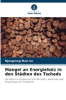 Image for Mangel an Energieholz in den Stadten des Tschads