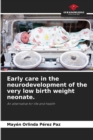 Image for Early care in the neurodevelopment of the very low birth weight neonate.