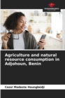 Image for Agriculture and natural resource consumption in Adjohoun, Benin