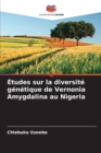 Image for Etudes sur la diversite genetique de Vernonia Amygdalina au Nigeria