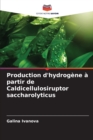 Image for Production d&#39;hydrogene a partir de Caldicellulosiruptor saccharolyticus