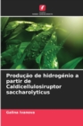 Image for Producao de hidrogenio a partir de Caldicellulosiruptor saccharolyticus