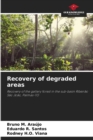 Image for Recovery of degraded areas