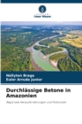 Image for Durchlassige Betone in Amazonien