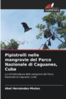 Image for Pipistrelli nelle mangrovie del Parco Nazionale di Caguanes, Cuba