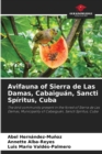 Image for Avifauna of Sierra de Las Damas, Cabaiguan, Sancti Spiritus, Cuba