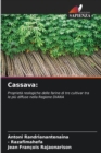 Image for Cassava