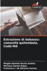 Image for Estrazione di babassu : comunita quilombola, Codo-MA