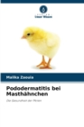 Image for Pododermatitis bei Masthahnchen