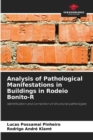 Image for Analysis of Pathological Manifestations in Buildings in Rodeio Bonito-R