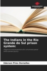 Image for The Indians in the Rio Grande do Sul prison system