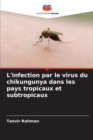Image for L&#39;infection par le virus du chikungunya dans les pays tropicaux et subtropicaux