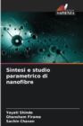 Image for Sintesi e studio parametrico di nanofibre