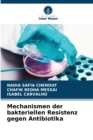 Image for Mechanismen der bakteriellen Resistenz gegen Antibiotika