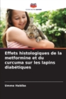 Image for Effets histologiques de la metformine et du curcuma sur les lapins diabetiques