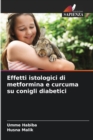 Image for Effetti istologici di metformina e curcuma su conigli diabetici