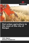 Image for Peri-urban agriculture to the west of the city of Bangui
