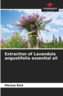 Image for Extraction of Lavandula angustifolia essential oil