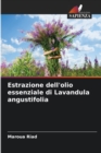 Image for Estrazione dell&#39;olio essenziale di Lavandula angustifolia