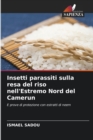 Image for Insetti parassiti sulla resa del riso nell&#39;Estremo Nord del Camerun