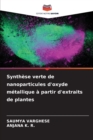 Image for Synthese verte de nanoparticules d&#39;oxyde metallique a partir d&#39;extraits de plantes