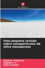 Image for Uma pequena revisao sobre nanoparticulas de silica mesoporosa