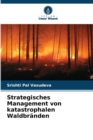 Image for Strategisches Management von katastrophalen Waldbranden