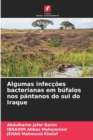 Image for Algumas infeccoes bacterianas em bufalos nos pantanos do sul do Iraque