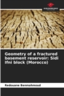 Image for Geometry of a fractured basement reservoir