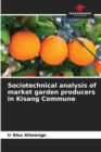 Image for Sociotechnical analysis of market garden producers in Kisang Commune