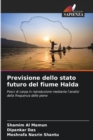 Image for Previsione dello stato futuro del fiume Halda
