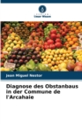Image for Diagnose des Obstanbaus in der Commune de l&#39;Arcahaie
