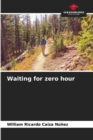 Image for Waiting for zero hour