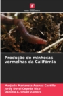 Image for Producao de minhocas vermelhas da California