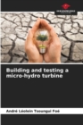 Image for Building and testing a micro-hydro turbine