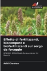 Image for Effetto di fertilizzanti, biocompost e biofertilizzanti sul sorgo da foraggio