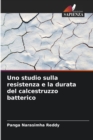 Image for Uno studio sulla resistenza e la durata del calcestruzzo batterico