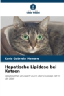 Image for Hepatische Lipidose bei Katzen