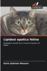 Image for Lipidosi epatica felina