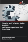 Image for Studio sull&#39;effetto dello ZnONP nell&#39;aggregazione del lisozima