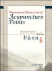 Image for Anatomical Illustration of Acupuncture Points