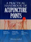 Image for A Practical Handbook of Acupuncture Point