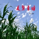 Image for Beautiful Qingtang