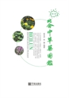 Image for Illustrated Handbook of Chinese Medicinal Herbs in Beilun