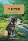 Image for International Award-winning Animal Novels: Snow Dog
