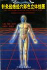 Image for 3D Color Charts of the Acupuncture Meridians and Acupoints (English-Chinese Ed.)